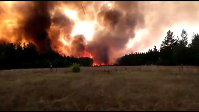 Пожары 26 августа съемка ГПС Воронежской области смотреть онлайн