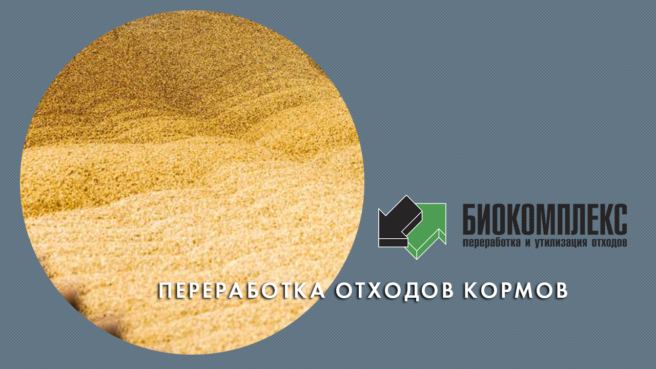 Переработка отходов кормов смотреть онлайн