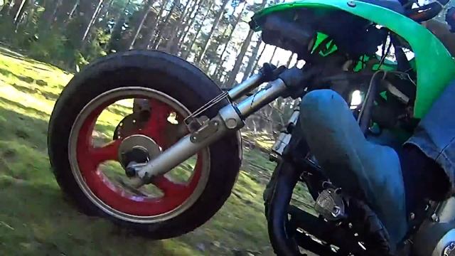 Трицикл-Гусь:) смотреть онлайн