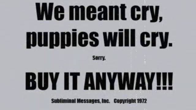 I think I was brainwashed into buying SKYRIM... смотреть онлайн