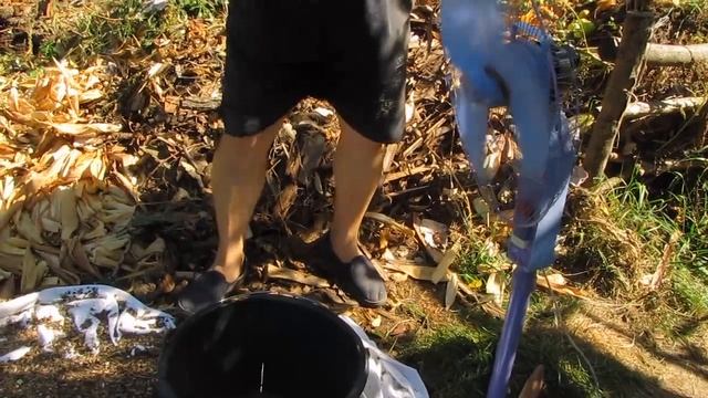 ОЧИСТКА НАСІННЯ СОНЯШНИКА ВІД МУСОРА