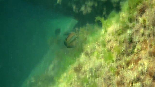 «Мир Чёрного моря» смотреть онлайн