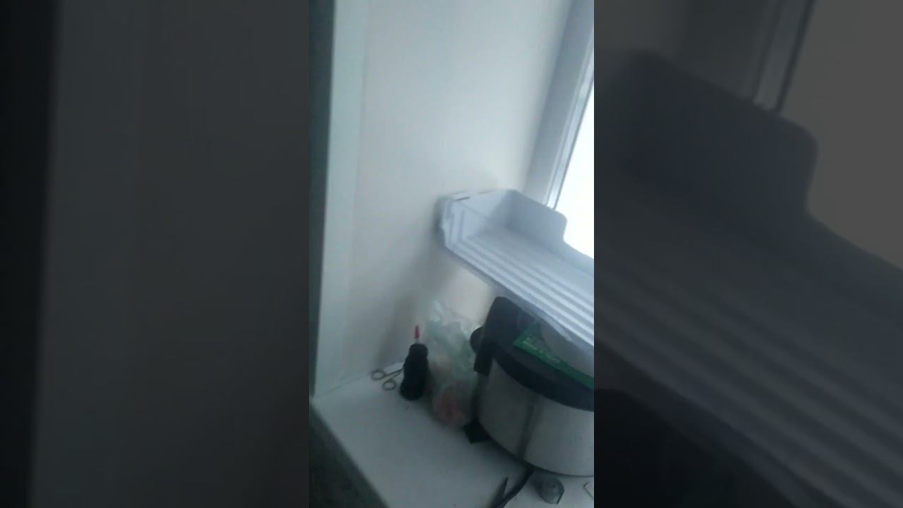 ВЕО черная Восточно Европейская Овчарка 2 смотреть онлайн