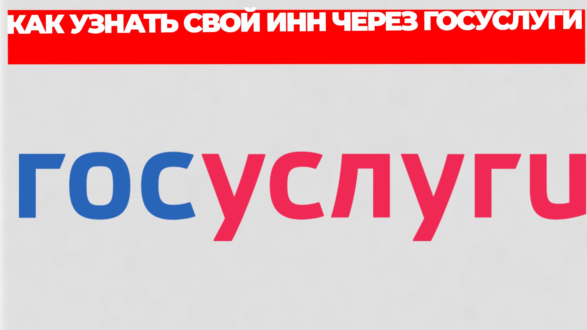 Всезнающий Енот