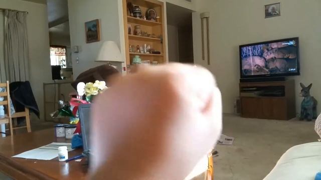 If I git 5 subs I will show my face смотреть онлайн