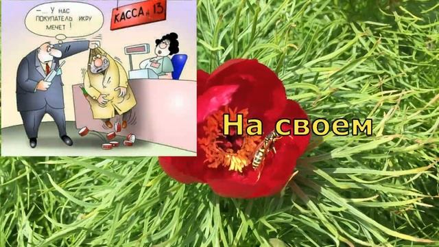 С Днем Торговли! Прикольное поздравление С Днем работников торговли! с днем торговли поздравления смотреть онлайн