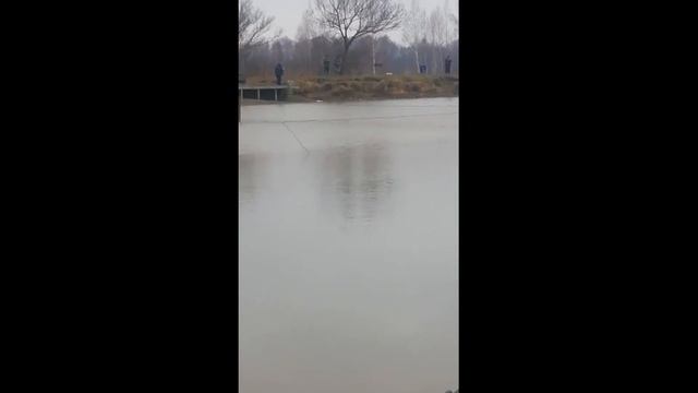 03.11.21 КРХ "Тихая Заводь" Дулово смотреть онлайн