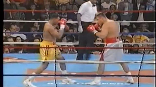 Andrew Golota Vs Danell Nicholson,HW,1996,03,15
