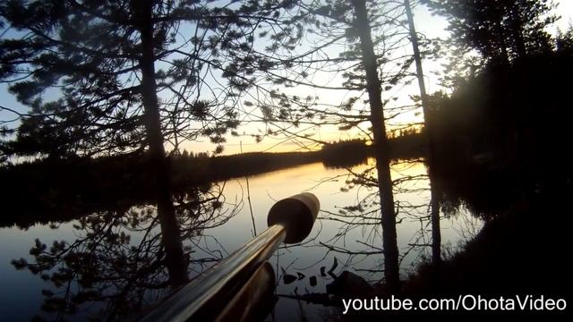 Лось в воде. Охота на лося осенью видео 2012-2013 Moose hunting Russia. смотреть онлайн