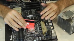 Школа - 5 Как нанести термопасту на процессор?