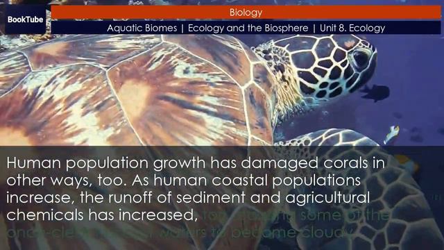 Aquatic Biomes | Ecology and the Biosphere | Unit 8. Ecology смотреть онлайн