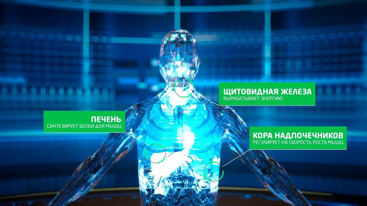 Био добавка I-fit и ее 3д анимация для презентации анимация воздействия препарата смотреть онлайн