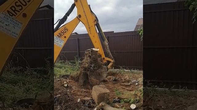 Корчевание пня экскаватором смотреть онлайн