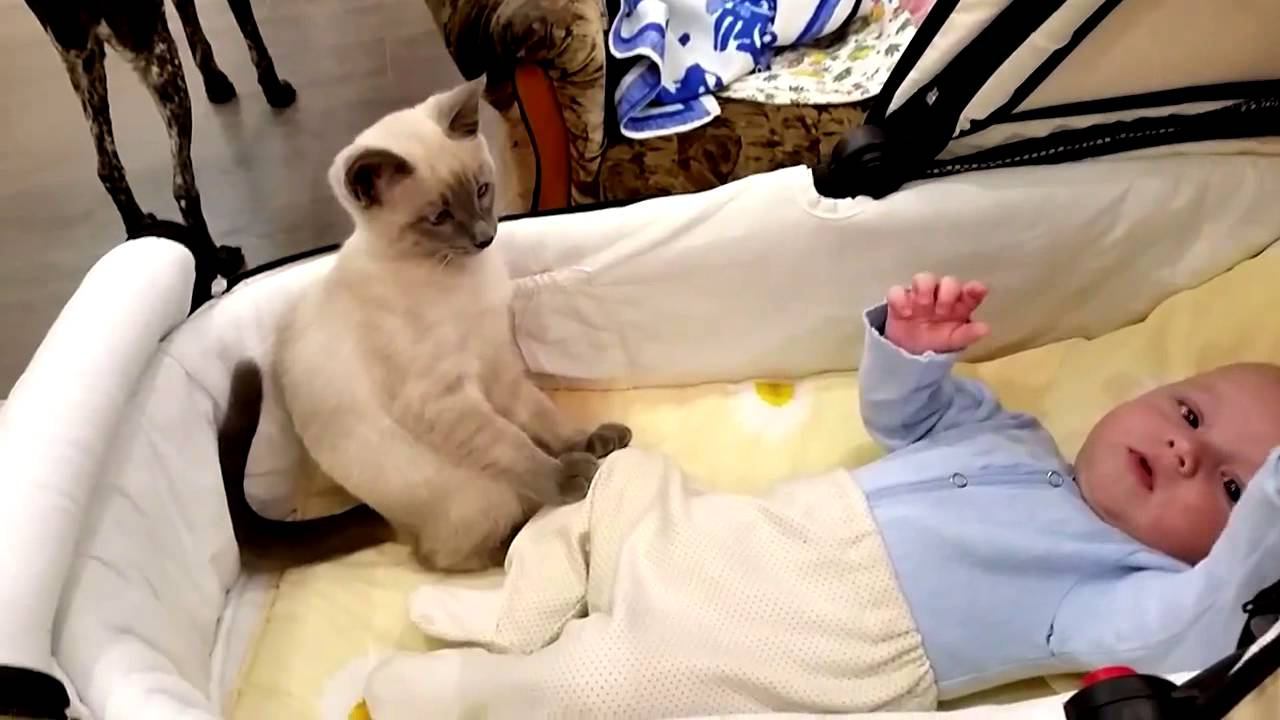 Успокойся мой малыш! смотреть онлайн
