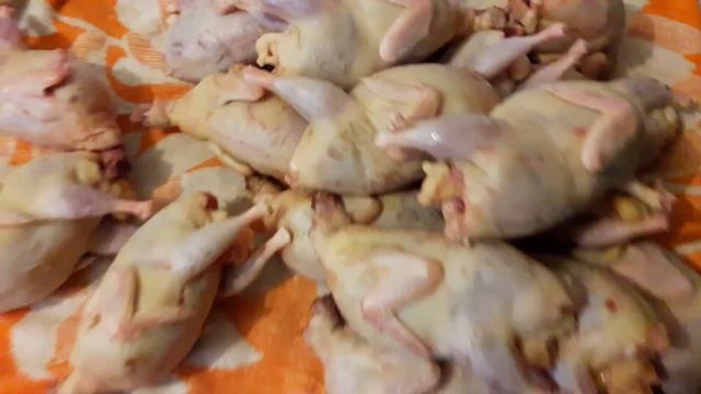 ВЕС НЕТТО мясо перепелов Альбинос техасский Стандарт смотреть онлайн