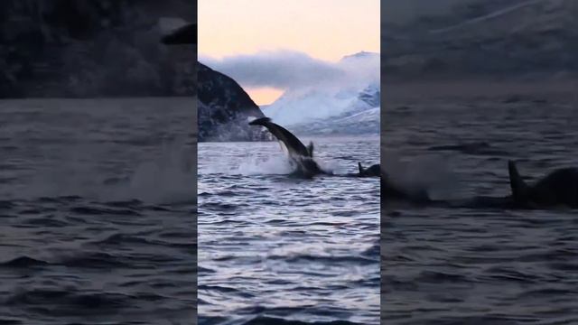 The beautiful nature on earth смотреть онлайн