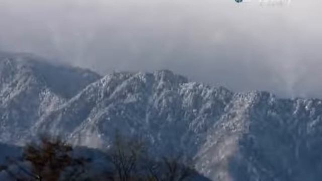 Как делают васаби