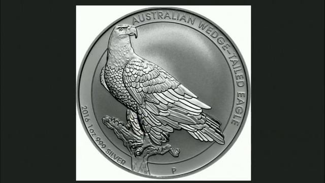 Let's Talk About The 2018 Wedge-Tailed Eagle! смотреть онлайн