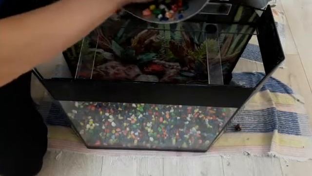 Аквариумные растения садим в землю. смотреть онлайн