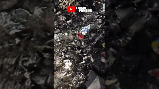 А вы знали об этом в GTA 5???? #shorts смотреть онлайн