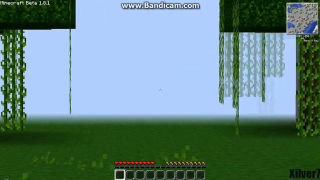 Minecraft: Check This Out! - Minaptics Zoom Mod!