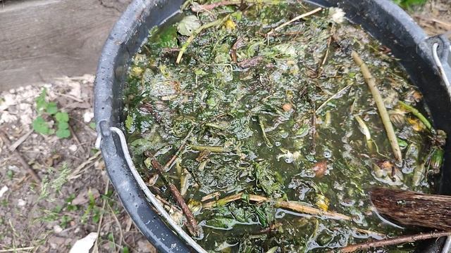 От такого удобрения все прет на огороде! без химии! смотреть онлайн