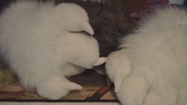 [Furry ASMR] Just Checking In W/You | Soft Spoken, Fur-on-Fur Petting, Desk Mat Tapping