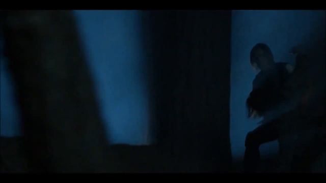 AHS VIDEO MIX -  E NOMINE CARPE NOCTEM.