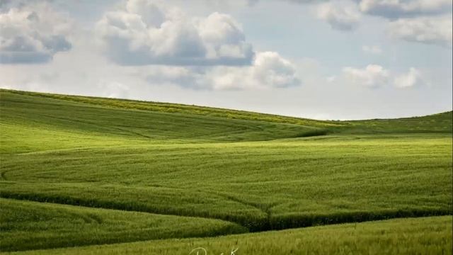 Медитация смотреть онлайн