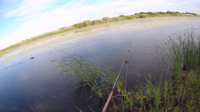 ВОТ ЭТО РЫБАЛКА! АДРЕНАЛИН ЗАШКАЛИВАЕТ р.Тобол рыбалка на спининг смотреть онлайн