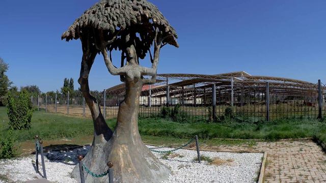 Три девушки тараз 2022 смотреть онлайн