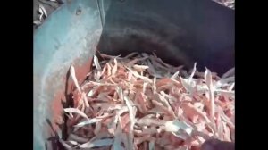 Быстрый способ лущить и чистить фасоль