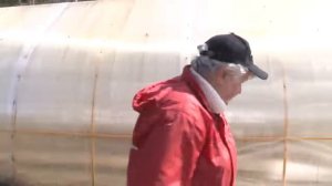 ВАЖНО! Флоксы после зимы     Голова садовая