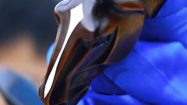 Калмыцкая народная песня «Дурна туск дун».mp4