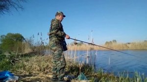 Ловля уклейки в апреле.