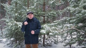 #05 Бальзам для позвоночника. Станислав Лосев_ Как вернуть себе волю и выразить себя