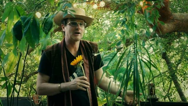 Psychomagic Update to Jodorowsky from Ari Gold смотреть онлайн