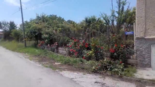 Праздник в Болгарии // Огурец "Пыжик" смотреть онлайн