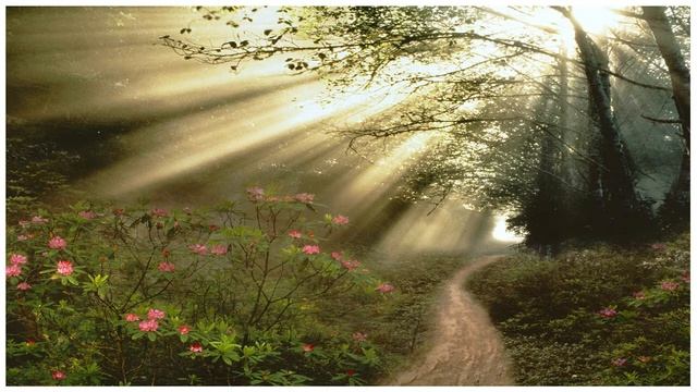 ЖИЗНЬ УВЫ БЫСТРОТЕЧНА смотреть онлайн