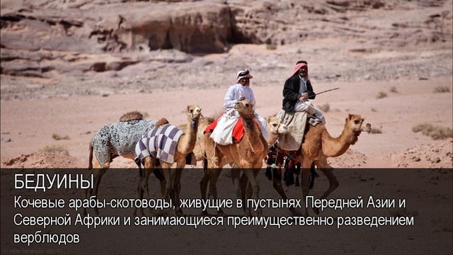 Бедуины. Толковый Видеословарь русского языка смотреть онлайн