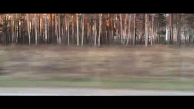 BMW 344i M62b44 (E36) Vs 535d (E60) Drag; ZhmuraTV