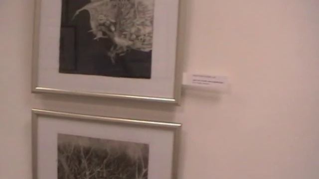 Прогулка по вытавке ГРАФИКА ЯКУТИИ смотреть онлайн