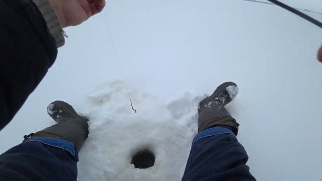 Шекснинский район.Рыбалка в Январе. Злые полосатики,мал да удал? смотреть онлайн