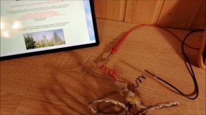 Электрогрядка Почеевского № 3