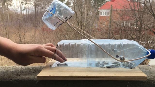 Ловушка для птиц своими руками | Птица синица в руках смотреть онлайн