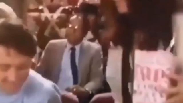 A Furry Surprise смотреть онлайн