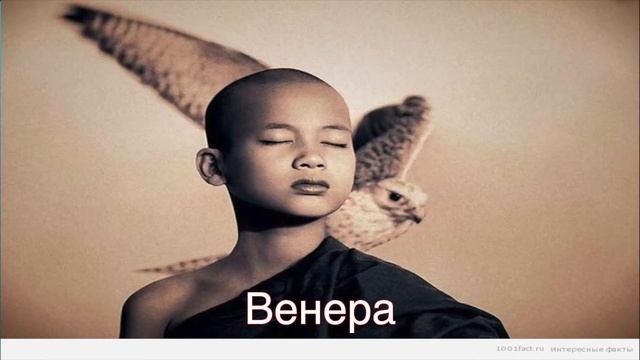 Лагна и планеты в Ашвини Ведическая астрология смотреть онлайн