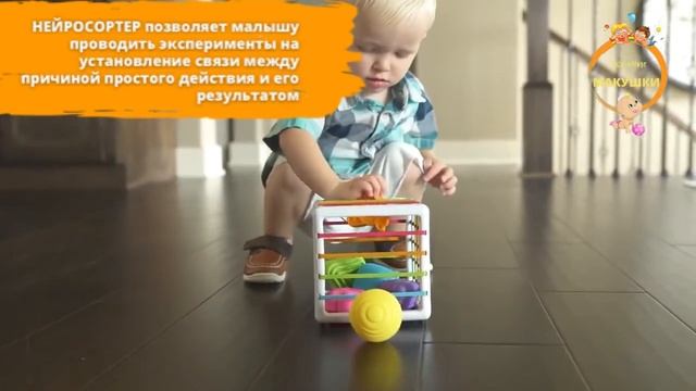 Игрушка развивающая мозг Нейросортер для малышей от 6 месяцев для мальчиков и девочек Монтессори смотреть онлайн