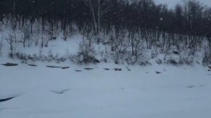 Рыбалка зимой в  -25 Нугушское водохранилище ,Национайльный парк " Башкирия"