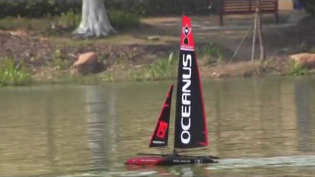 Ripmax - Joysway Oceanus Catamaran Yacht (B-JS-8806) смотреть онлайн